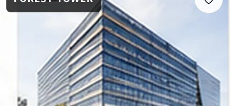 Forest Tower — materiał poglądowy